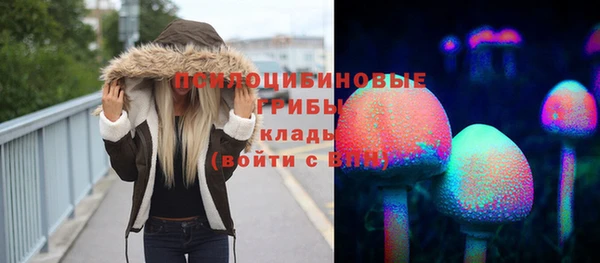 сатива Куйбышев