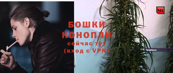 ПСИЛОЦИБИНОВЫЕ ГРИБЫ Кулебаки
