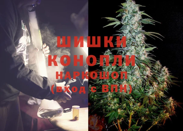 сатива Куйбышев