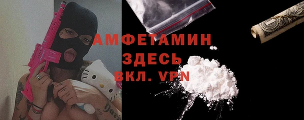 сатива Куйбышев