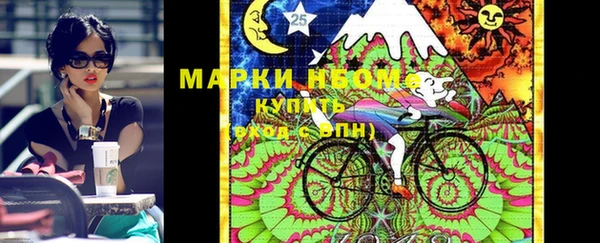 ПСИЛОЦИБИНОВЫЕ ГРИБЫ Кулебаки