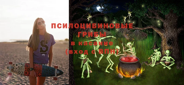 сатива Куйбышев