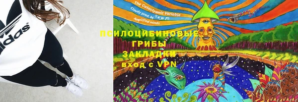 ПСИЛОЦИБИНОВЫЕ ГРИБЫ Кулебаки