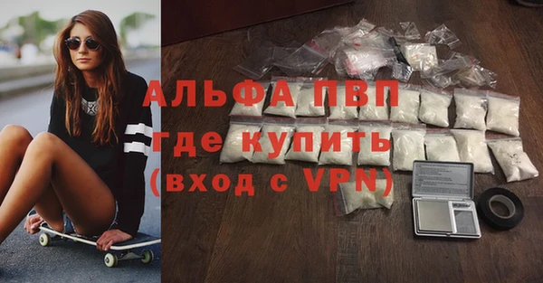 сатива Куйбышев