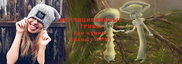 ПСИЛОЦИБИНОВЫЕ ГРИБЫ Кулебаки