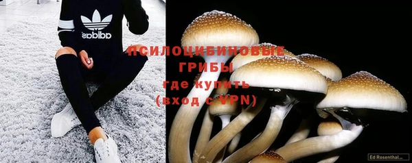 a pvp Краснослободск