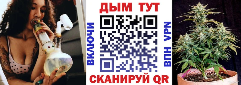 Конопля планчик  где найти наркотики  Макарьев 